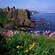 Las ruinas de un castillo medieval en un acantilado con vista al mar